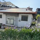 팽성대교 쉼터 | 평택 루프탑, 애견동반 카페 : 그래비티 오성점