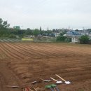 길주농장 이미지