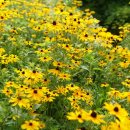 칠보산숲길 이미지