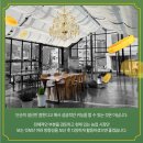 농민농장 이미지