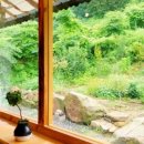 금손민박 이미지