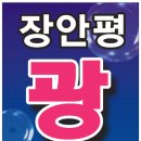 장안평광택