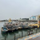 상트페테르부르크광장 이미지