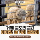 서정통신 | 거제 숲소리공원 총정리 모노레일 주말 예약 안하면 탑승 어려워요!