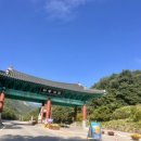 로그인편의점동해천곡점 | 강원도캠핑, 산속, 숲속 캠핑장 동해무릉힐링캠핑 제2캠핑장 62번사이트 이용후기