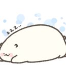 장성상회