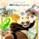 Kungfu Panda 4 이미지