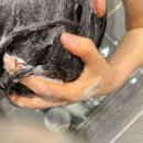 케어솔루션 | 탈모샴푸추천 두피케어샴푸 어쎈트 스칼프 솔루션 리얼 후기