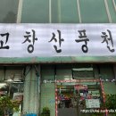 [안산 맛집] 고잔동 &#39;고창산풍천장어&#39; 살아있는 민물장어맛집, 여름 보양식 인생 맛집 추천