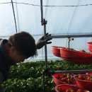 이상원농장 이미지