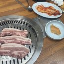 시골돼지촌 | 을지로 삼겹이 맛집! 참숯 시골 돼지촌 후기!