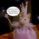 청주 금천광장 솔로파티 파티시온 내돈내산 솔직후기🥵💦