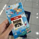 294 | 후쿠오카에서 인천 티웨이 TW294 후쿠오카공항 체크인 시간 탑승후기 feat 너무 빨리가지 마세요