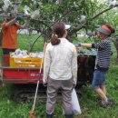 선대농장 이미지