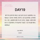 프로젝트19