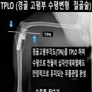 쥬만지동물의료센터 이미지