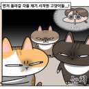 디비시험연구원 | 6월 기록 - 1