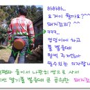 반디농장 이미지