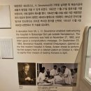 연희연세약국 | 세브란스신촌 하이패스 정기검진 진료 받는 법