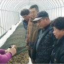 민수농산 이미지