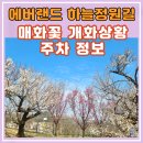 에쓰-오일(주)개나리주유소 | 용인 에버랜드 하늘정원길 매화꽃 방문 후기 개화상황 주차장 정보