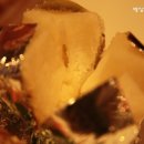 춘자싸롱 이미지