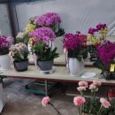 천호대로 213길 이미지