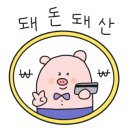플라플로 이미지