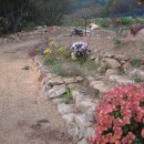 산새농원 이미지