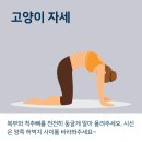 요가5 이미지