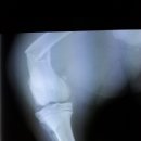 안정현동물병원 이미지