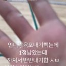 에이플민턴
