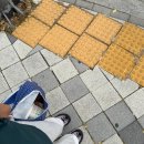고선야채
