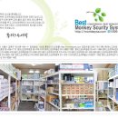 몽키스 이미지