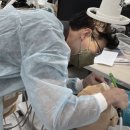 연세바른이치과의원 이미지