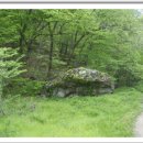 금성산성 이미지