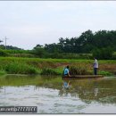 창녕 우포늪 이미지