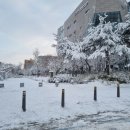 엽순공원(1) 이미지