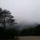 속초가좋아서울에서온 치과의원 이미지