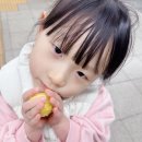 수다쟁이 삐약이집 내돈내산 후기｜키즈카페 인기 여아 역할놀이 장난감 추천