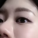 플러미드 Plumid