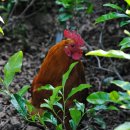 미로농장 이미지