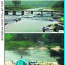 여름피서지 - 숨어있는 1인치의 공간-충주 삼탄강 (서울신문) 이미지