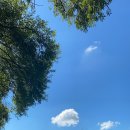 동산리 낚시터 이미지