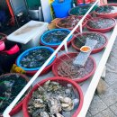 옥이네기장점 | [부산 기장] 연화리 해녀촌 맛집 추천 "순이와 옥이" (해물모둠 전복죽 맛집) 내돈내산 후기 주차