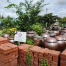 옥천농협삼산지소 | 한국기행 5부 해남 두부장 이승희 구매처 정보