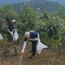 동산숲협동조합 이미지