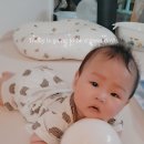 물개스테이 이미지