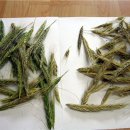 한그루 소아청소년과 의원 이미지