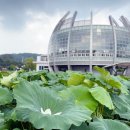 회산백련지 관광안내소 이미지